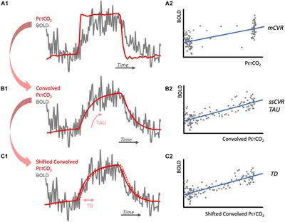 Normal BOLD Response to a Step CO2 Stimulus After Correction for Partial Volume Averaging